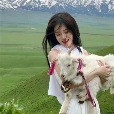 柏拉图恋爱